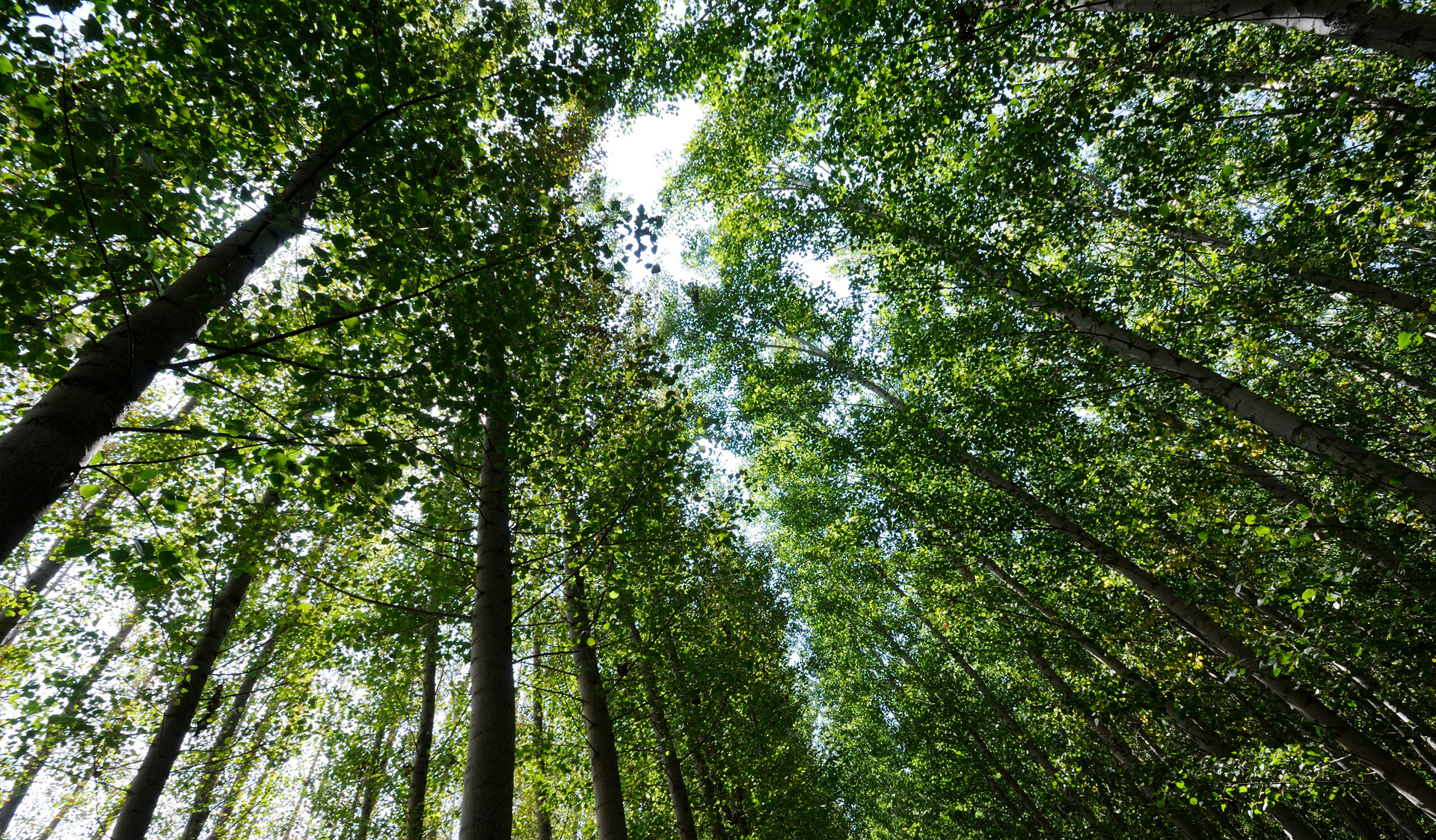 At the forefront of machine tools, we are equally dedicated to setting the standard in sustainability